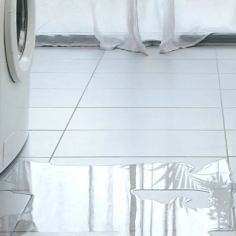 Appliance Leak Cleanup in Wayne County, IL