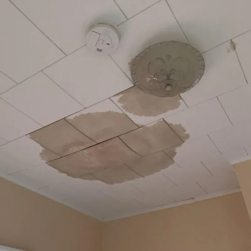Ceiling Water Damage Repair in Wayne County, IL
