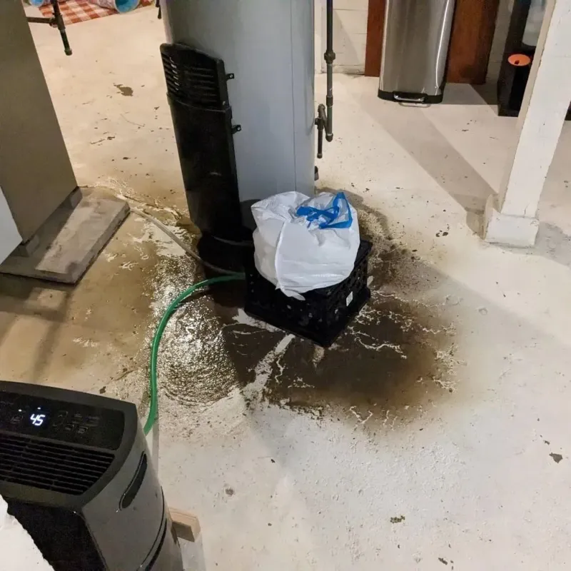 Sewage Backup Cleanup Service in Wayne County, IL